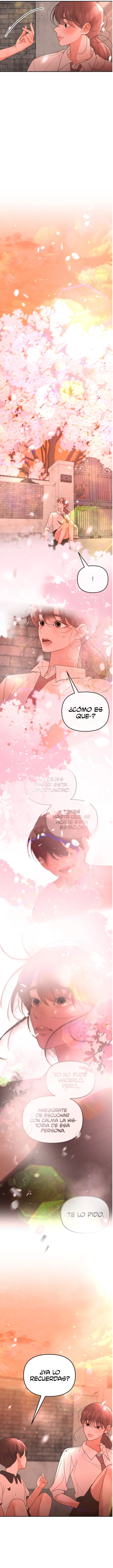 Mi Respuesta Capítulo 42 - Page 6