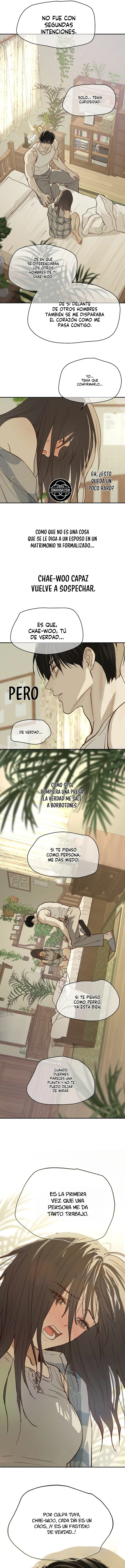 Las Flores Son Cebo Capítulo 52 - Page 8