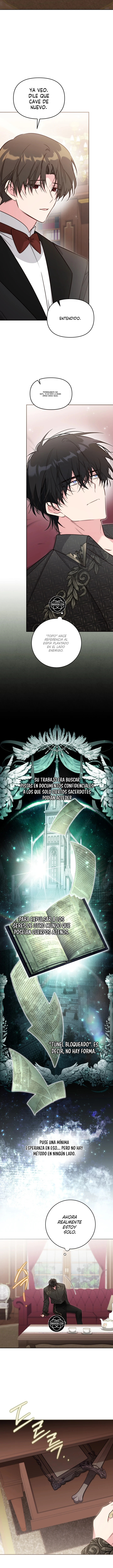 No hay lugar para las falsificaciones Capítulo 117 - Page 12