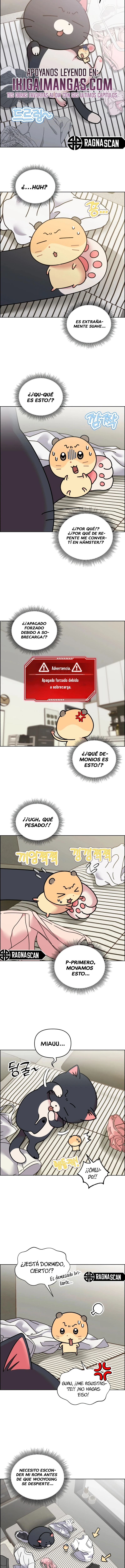 ¡Meow Meow! ¡Squeak Squeak! Capítulo 50 - Page 3