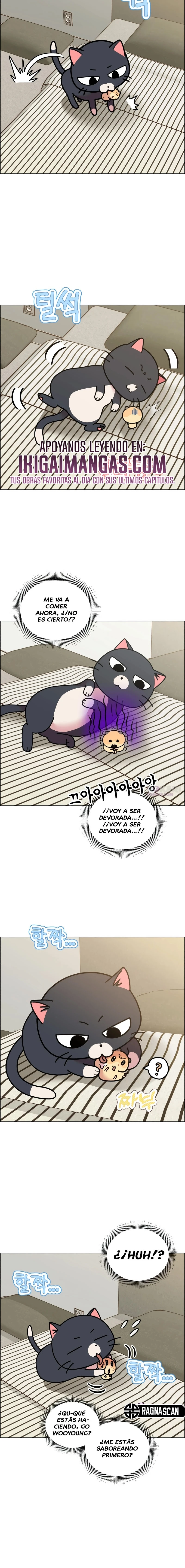 ¡Meow Meow! ¡Squeak Squeak! Capítulo 50 - Page 6