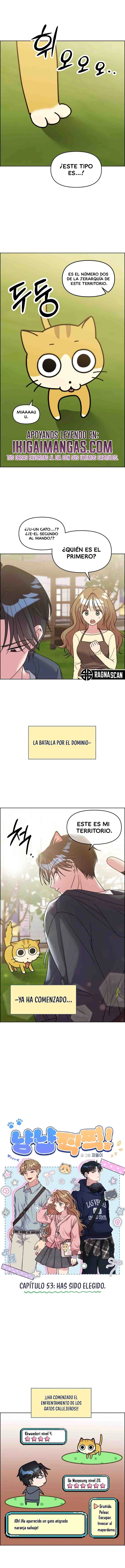 ¡Meow Meow! ¡Squeak Squeak! Capítulo 53 - Page 2