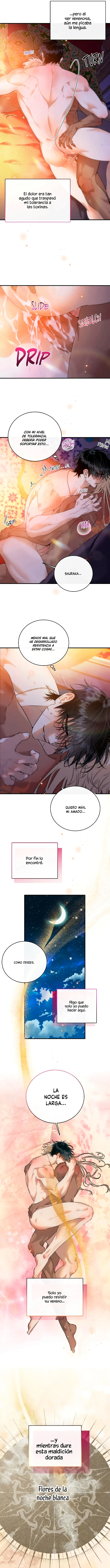 Flores de la noche Capítulo 30 - Page 14