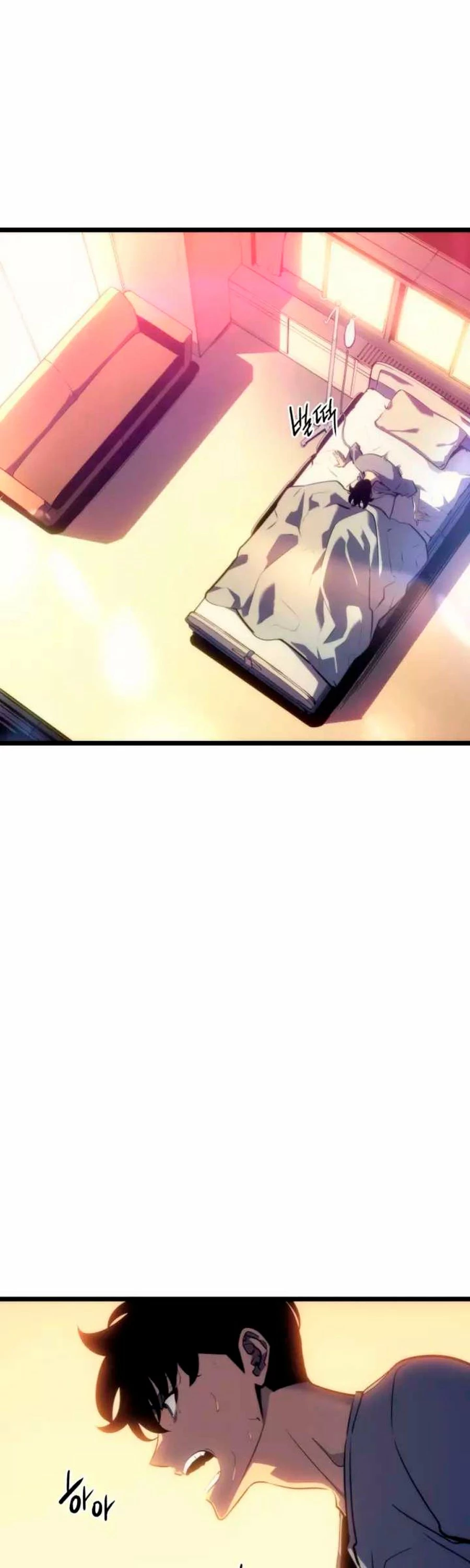 Solo Leveling Capítulo 160.5 - Page 17