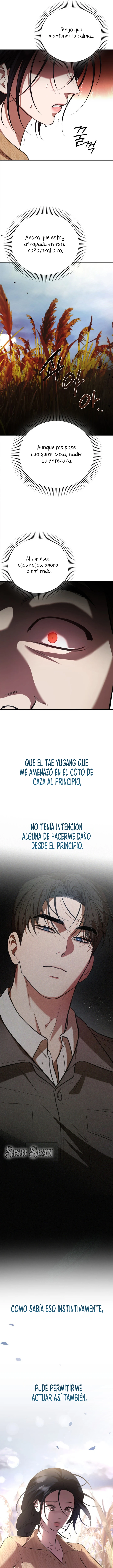 Taxidermia Capítulo 17 - Page 5
