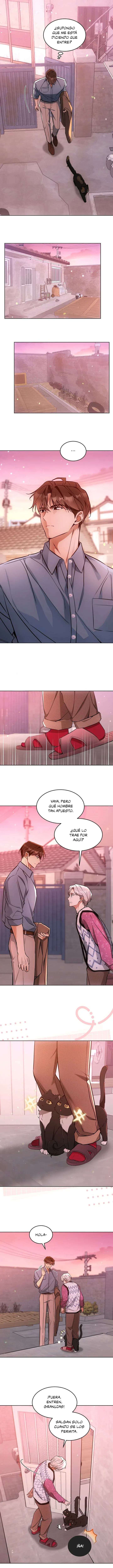Terapia de gatos Capítulo 31 - Page 10