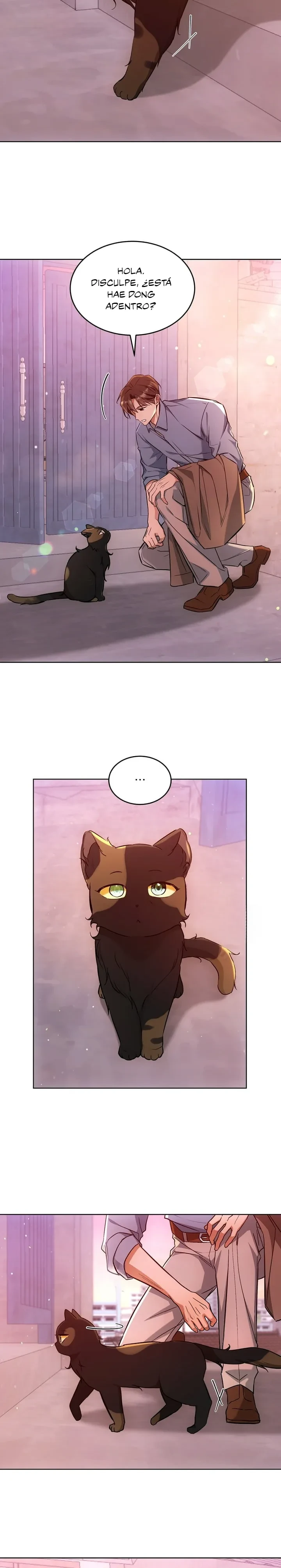 Terapia de gatos Capítulo 31 - Page 9