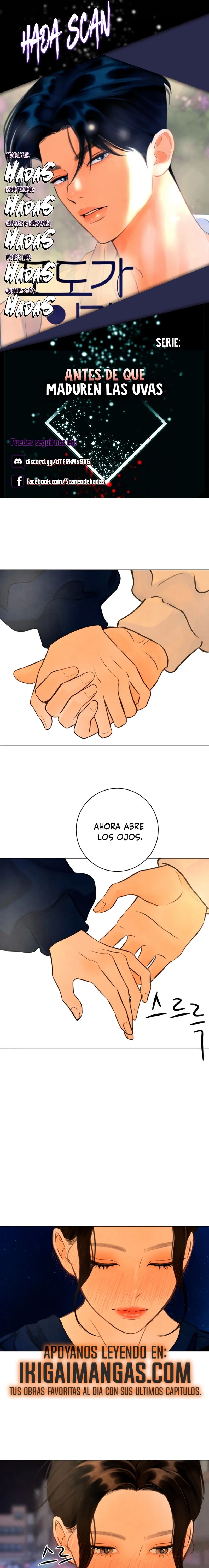 Antes de que maduren las uvas Capítulo 11 - Page 1
