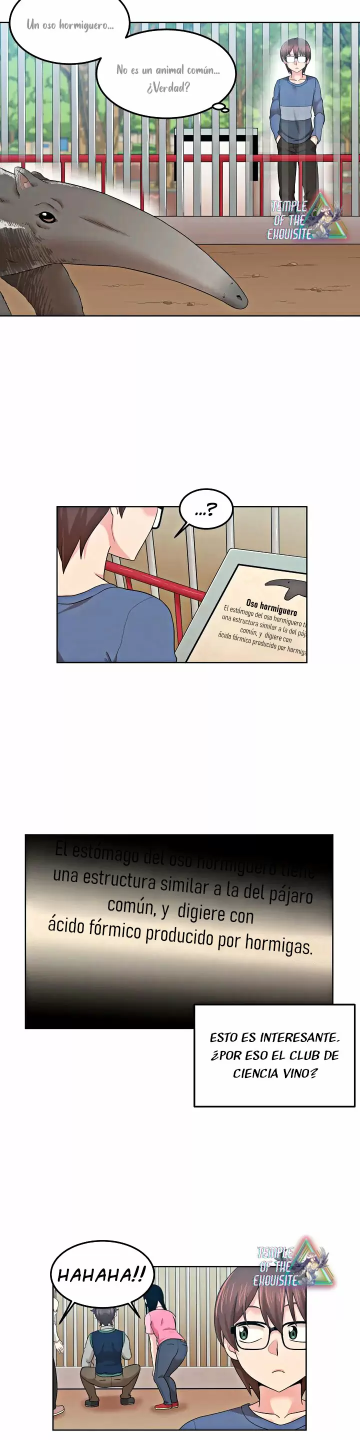 La Mujer mas alla del Muro Capítulo 2 - Page 10